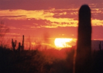 Sunset03 : AZ