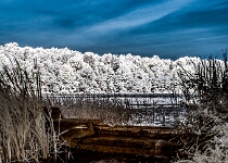 20240904-DSC 3764-Enhanced-NRAnd2more Merged  Lake Aeroflex #1 : IR, infrared