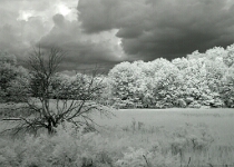 DSCN2590 copy  Storm Clouds #1 : NJ, Landscapes, Infrared, 2-Stars
