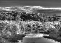 DSCN4133 4 7  Black River, Chester, NJ : Infrared, HDR, Sunrise/Sunset, Water