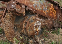 DSC 9486  Rusted