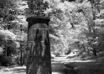 20190713-DSC 3472ir  Ventilator No. 5 in infrared, Old Croton Aqueduct Trail