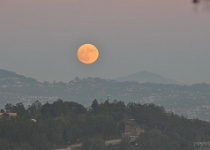 DSC 2288  Super Moon Rising, East Bay