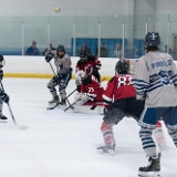 20221113-810 4355 : #41, #51, #88, Hockey, NJ Jets