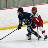 20221120-810 5204 : #82, Hockey, NJ Jets