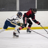 DSC 4795-Enhanced-NR : #26, 16U, AHF, Championship, Hockey, NJ Kings