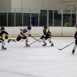 DSC 6252-Enhanced-NR : #25, #27, #41, 16U, AHF, Championship, Hockey, NJ Kings