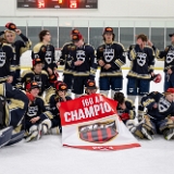 DSC 6391-Enhanced-NR : 16U, AHF, Championship, Hockey, NJ Kings